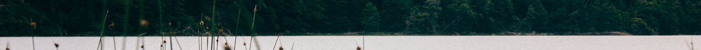 Planning a Great Kayaking Trip